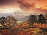 Borrowdale, Lake District, Cumbria, England Photographie par Peter Adams