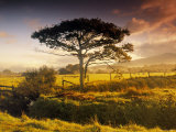Landscape of Nr. Harlech, North Wales Photographic Print by Peter Adams