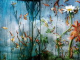 Underwater Sky Photographie par Alaya Gadeh