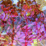Ocean of Colours, no. 4 Photographic Print by Alaya Gadeh