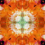 Moods of Mandala, no. 3 Lámina fotográfica por Alaya Gadeh Moods of Mandala, no. 3 Lámina fotográfica por Alaya Gadeh