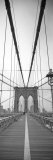 Manhattan and Brooklyn Bridge, New York City, USA Photographic Print by Alan Copson
