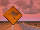 Road Sign, Shark Bay National Park, Western Australia, Australia Lámina fotográfica por Doug Pearson Road Sign, Shark Bay National Park, Western Australia, Australia Lámina fotográfica por Doug Pearson
