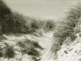 Juist Beach Photographic Print by Katrin Adam