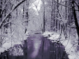 Snow Covered Trees along Creek in Winter Landscape Photographie par Jan Lakey