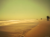 Golden Beach Landscape 写真プリント - ヤン・Lakey Golden Beach Landscape 写真プリント - ヤン・Lakey