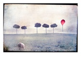 Lamb by Row of Trees and Red Balloon Photographic Print by Mia Friedrich