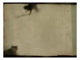 Blurred Cats Photographic Print by Mia Friedrich