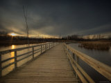 Marsh Path Photographic Print by Irene Suchocki