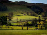 Yorkshire Dales Spring Photographie par Jody Miller