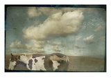Horse in Field Photographic Print by Mia Friedrich