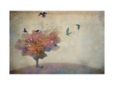 Oversized Crows Flying from Tree Photographie par Mia Friedrich