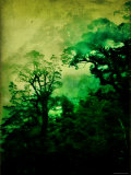 Ominous Lámina fotográfica por Vanessa Ho Ominous Lámina fotográfica por Vanessa Ho