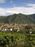 Weissenkirchen, Wachau, Lower Austria, Austria Photographic Print by Doug Pearson
