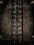 Study of a Ladder Photographic Print by Edoardo Pasero