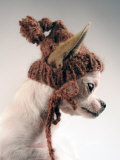 Phoebe in Winter Hat Photographic Print by Traer Scott