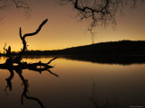 Gnarled Branches Poking out of Calm Lake Photographic Print by Jan Lakey