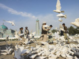 Shrine of Hazrat Ali, Mazar-I-Sharif, Afghanistan Lámina fotográfica por Jane Sweeney Shrine of Hazrat Ali, Mazar-I-Sharif, Afghanistan Lámina fotográfica por Jane Sweeney