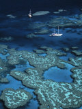 Great Barrier Reef, Queensland, Australia Photographic Print by Danielle Gali