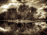 Printemps Photographie par Stephen Arens