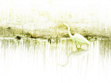 Crane Standing in Shallow Waters Lámina fotográfica por Jan Lakey Crane Standing in Shallow Waters Lámina fotográfica por Jan Lakey