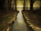 The Future Photographie par Irene Suchocki