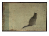 Blurred Cat Sitting Photographic Print by Mia Friedrich