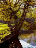 Cotswold Bridge Photographic Print by Jody Miller