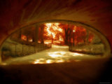 Central Park, no. 1 Photographie par Katherine Sanderson
