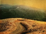 Windy Trail on Hill Photographic Print by Robert Cattan