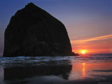 Haystack Rock and Birds Photographic Print by Jody Miller