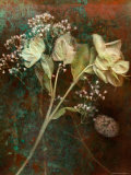 Wilted White Rose and Baby's Breath Lámina fotográfica por Robert Cattan Wilted White Rose and Baby's Breath Lámina fotográfica por Robert Cattan