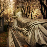 Enduring Love Photographic Print by Irene Suchocki