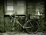12 Days of Christmas Bicycle Lámina fotográfica por Tim Kahane