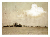 Crop Field and Barn Photographic Print by Mia Friedrich