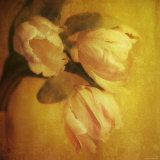Three Tulips Photographic Print by Irene Suchocki Three Tulips Photographic Print by Irene Suchocki