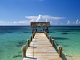 Providence Island, Bahamas, Caribbean Reprodukcja zdjęcia autor Peter Adams