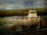 Safe Harbor Photographic Print by Lydia Marano