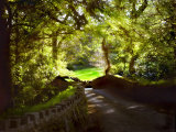 Devonshire Idyll Photographic Print by Jody Miller