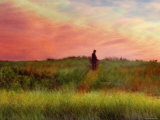Pastoral Sunset Photographic Print by Robert Cattan