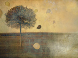 Balloons Tied to Tree Photographic Print by Mia Friedrich