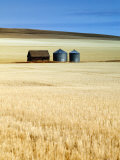 Grain Barn, Rosebud, Alberta, Canada Photographic Print by Walter Bibikow