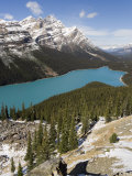 Peyto Lake, Coloured by Glacial Silt, Banff-Jasper National Parks, Canada Photographic Print by Gavin Hellier