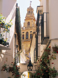 Cordoba, Andalucia, Spain Stampa fotografica di Peter Adams Cordoba, Andalucia, Spain Stampa fotografica di Peter Adams