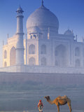 Taj Mahal, Agra, India Photographic Print by Peter Adams