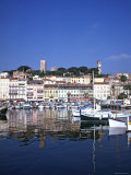 Vieux Port, Cannes, Cote d'Azur, France Photographic Print by Jon Arnold