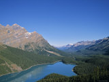 Peyto Lake, Banff Np, Alberta, Canada Photographic Print by Danielle Gali