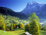 Grindelwald, Berner Oberland, Switzerland Photographie par Peter Adams
