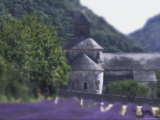 Abbaye de Sananque, Provence, France Photographic Print by Jon Arnold