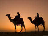 Camels Near the Pyramids at Giza, Cairo, Egypt Lámina fotográfica por Doug Pearson Camels Near the Pyramids at Giza, Cairo, Egypt Lámina fotográfica por Doug Pearson